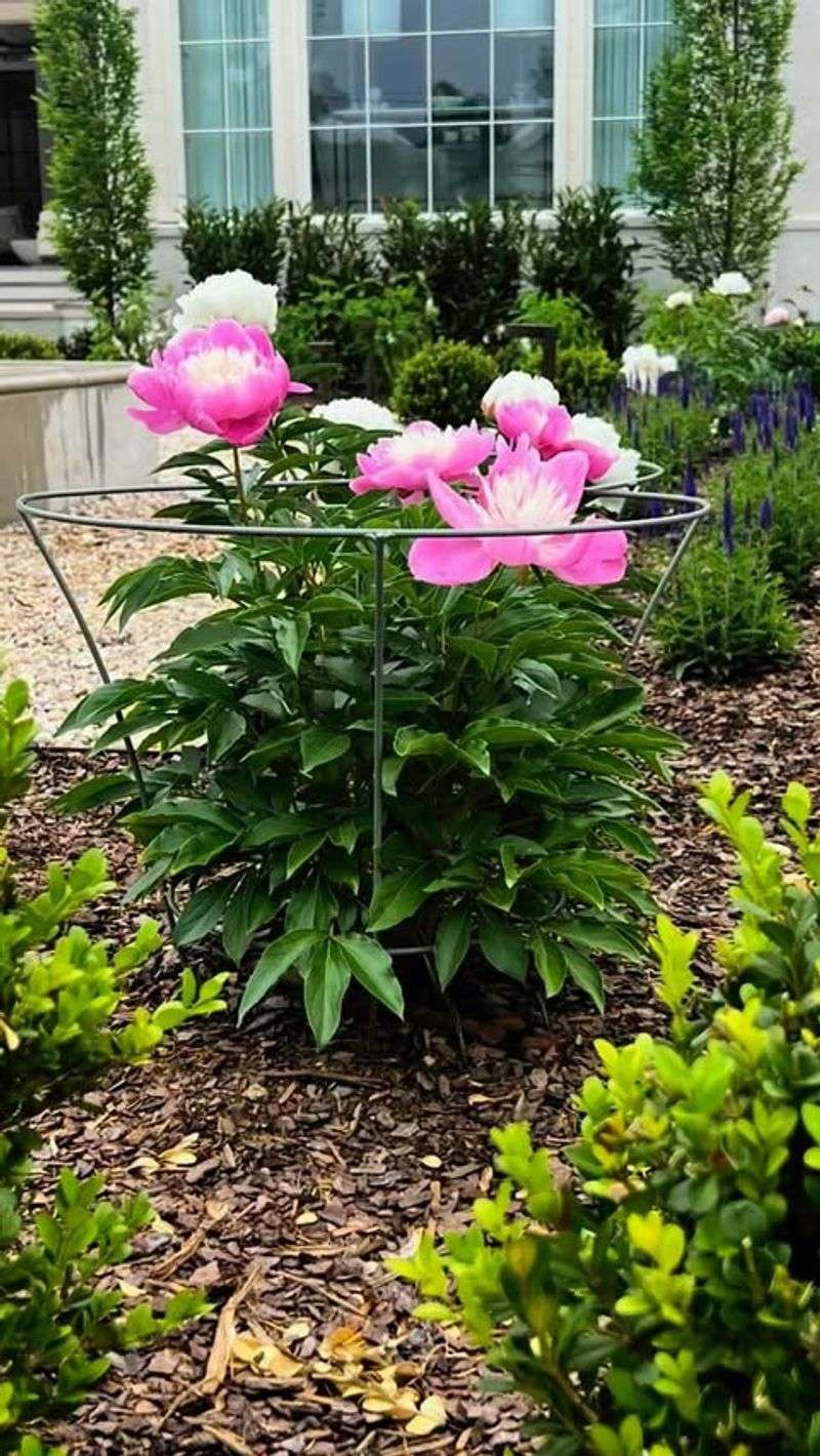 Ensure Proper Air Circulation