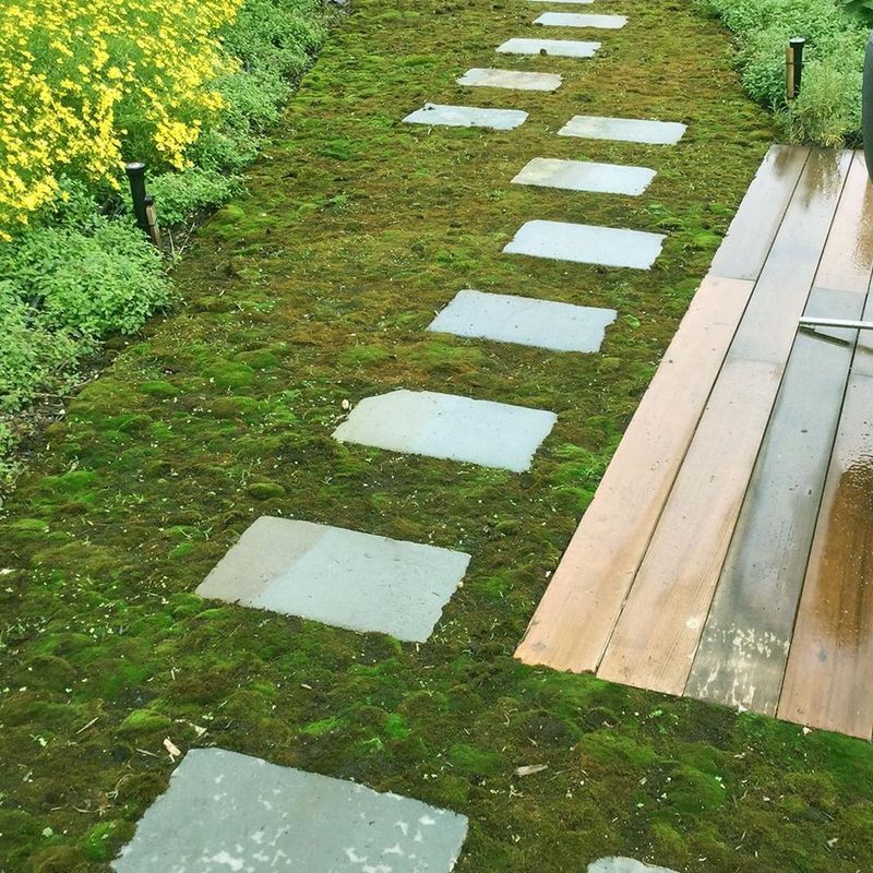 Say Goodbye To Mowing Forever