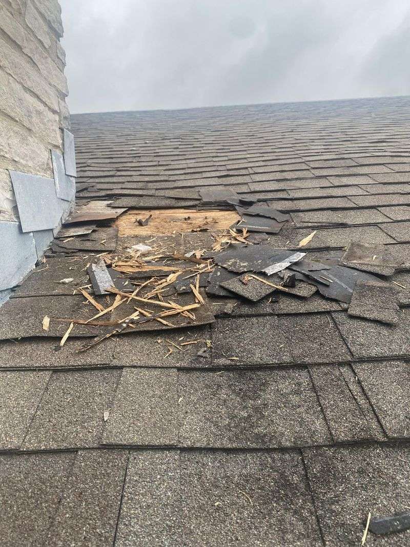 DIY Removal Can Cause Serious Property Damage