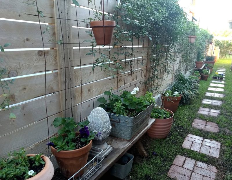 Fill Pots Completely with Soil