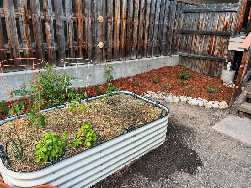 Building Temporary Wind Barriers