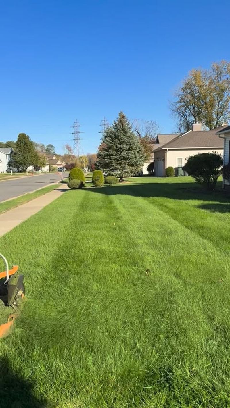 Complete Your Final Mow Before Hard Freeze