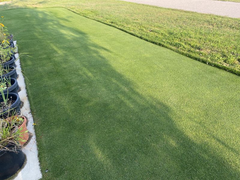 Never Remove More Than One-Third of the Blade