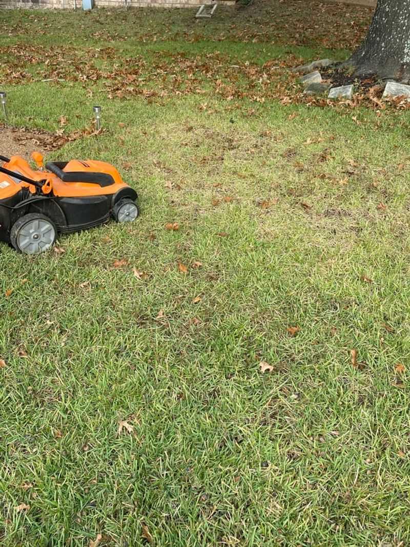 Reduce Your Mowing Frequency