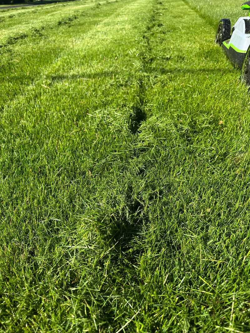 Remove Clippings After Cutting Short