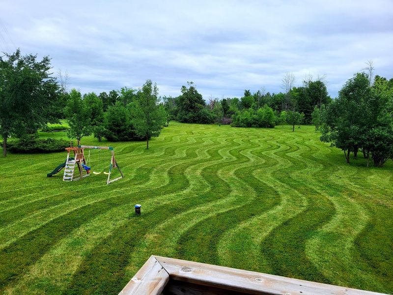 Change Your Mowing Pattern Every Time