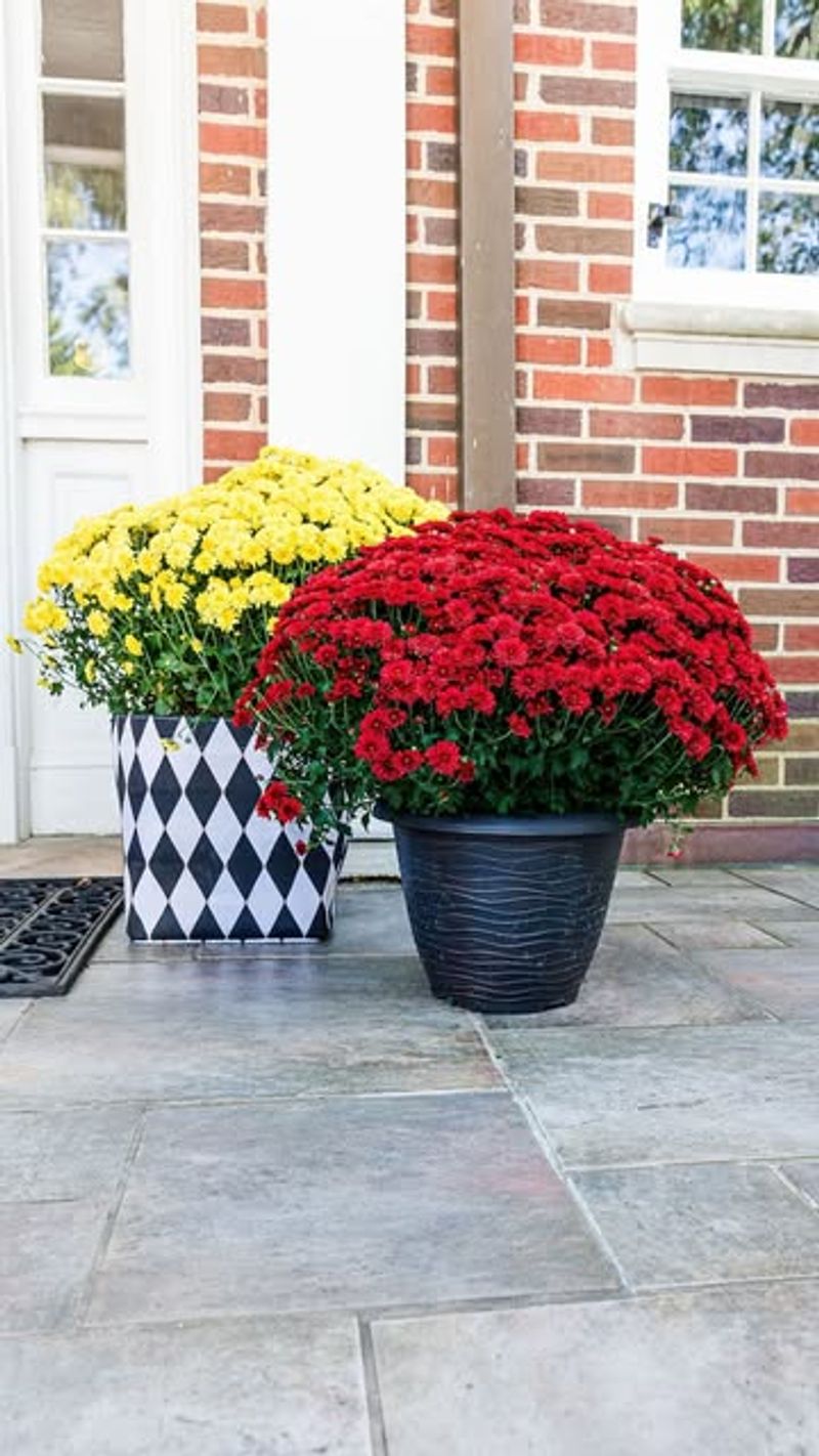 Avoid Overcrowding In Planters