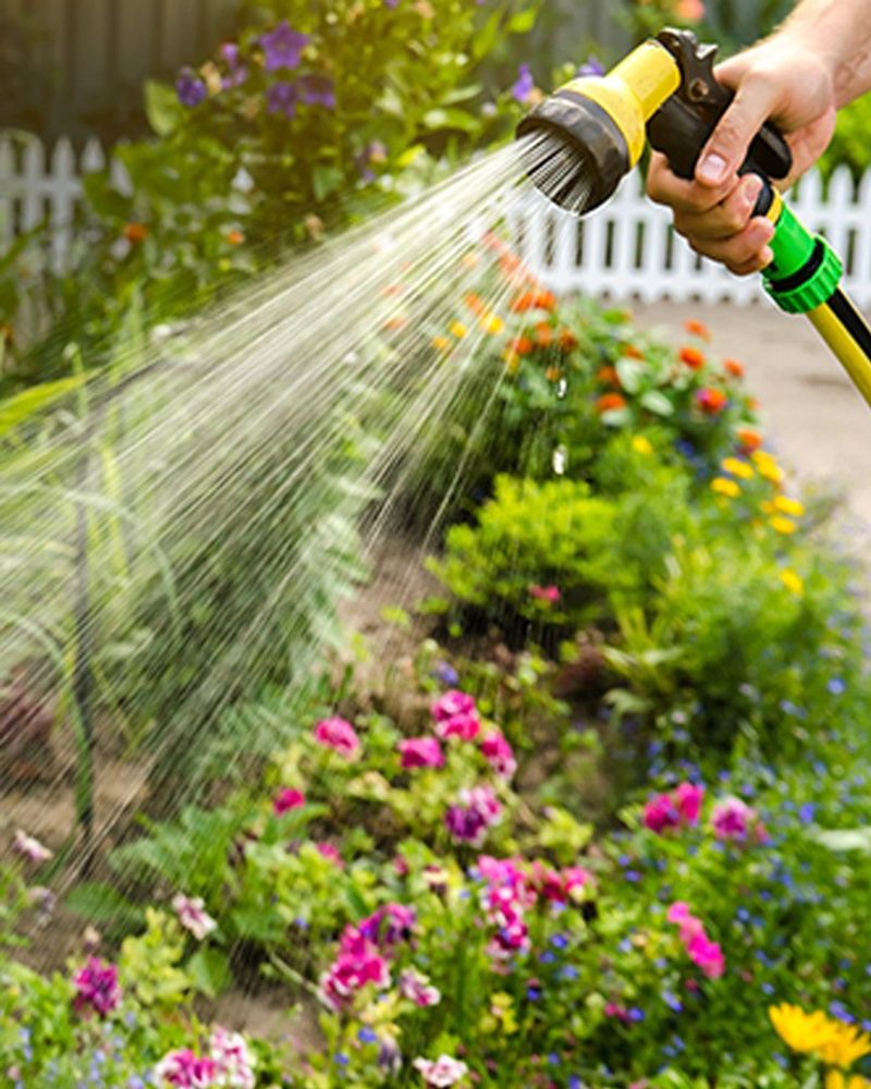 Water Deeply But Less Often