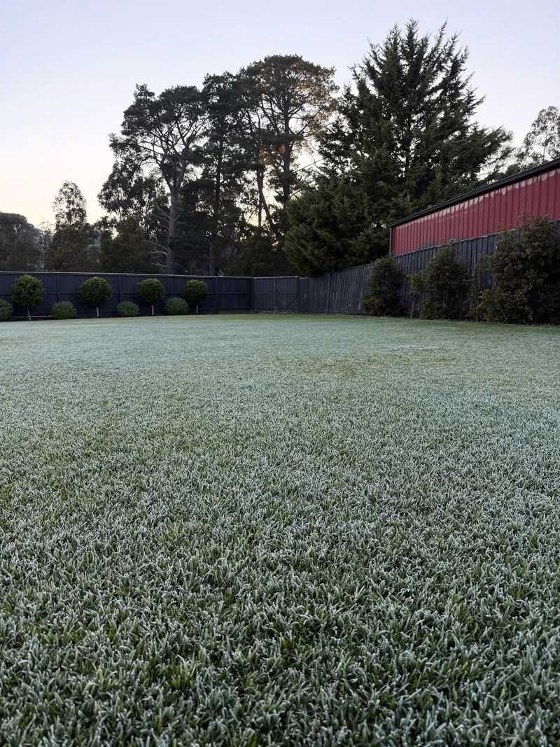 Avoid Mowing Wet Or Frosty Grass