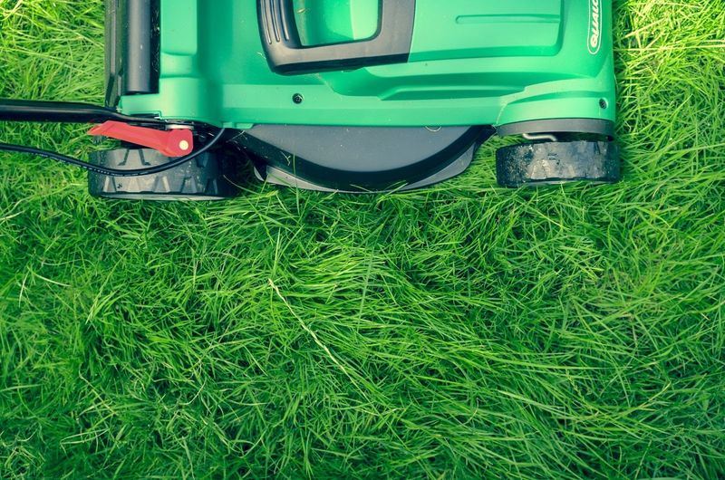 Schedule Your Final Mow Before First Frost