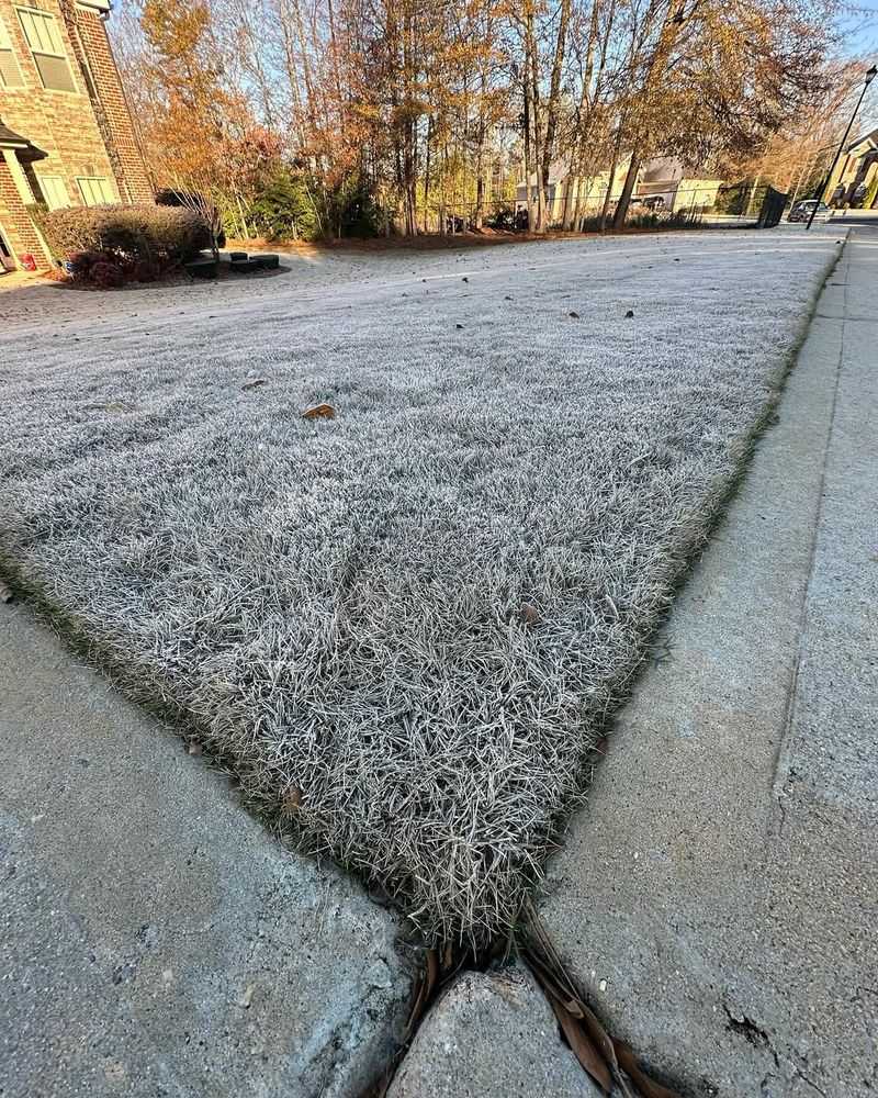 Avoid Mowing Frozen Grass
