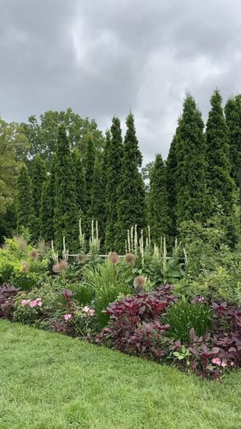 Protect Your Trees And Shrubs