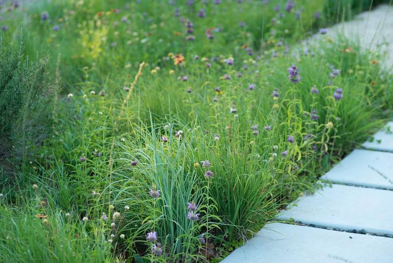 Reduced Mowing Means More Free Time