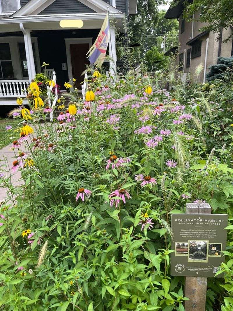 Bloom Times Matter More Than You Think