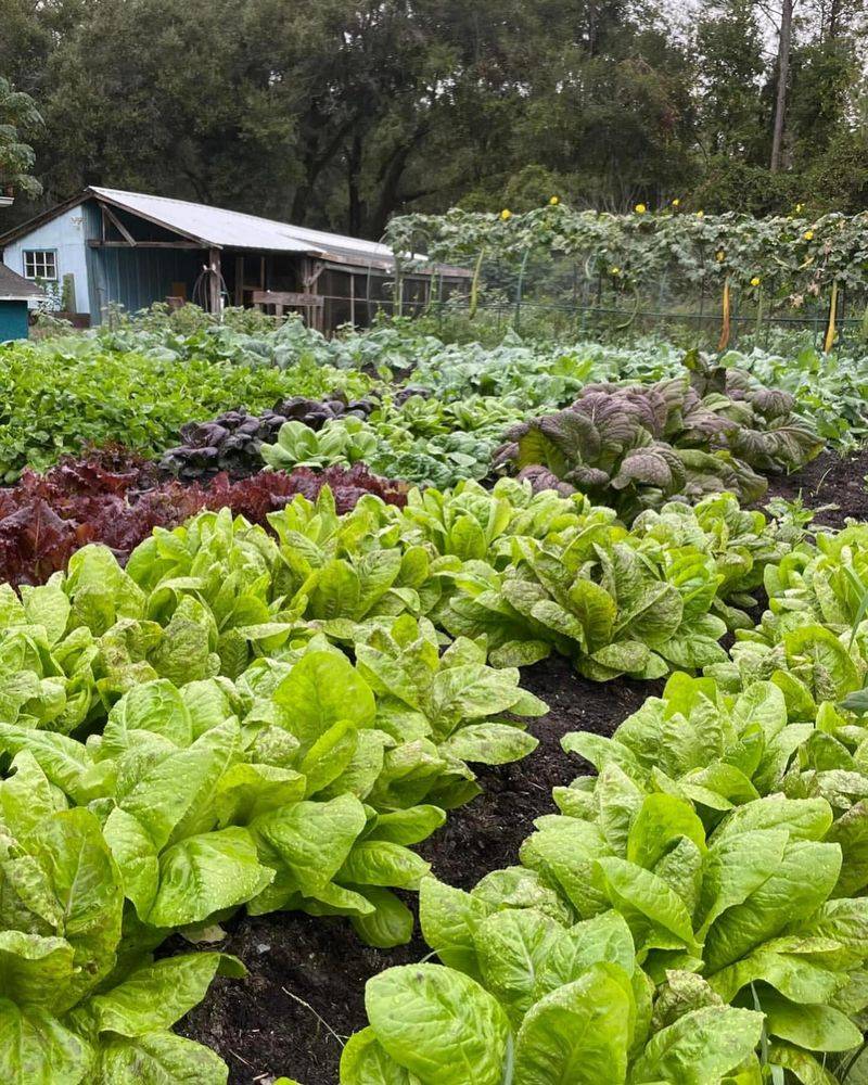 Hurricane Preparedness Gets Easier