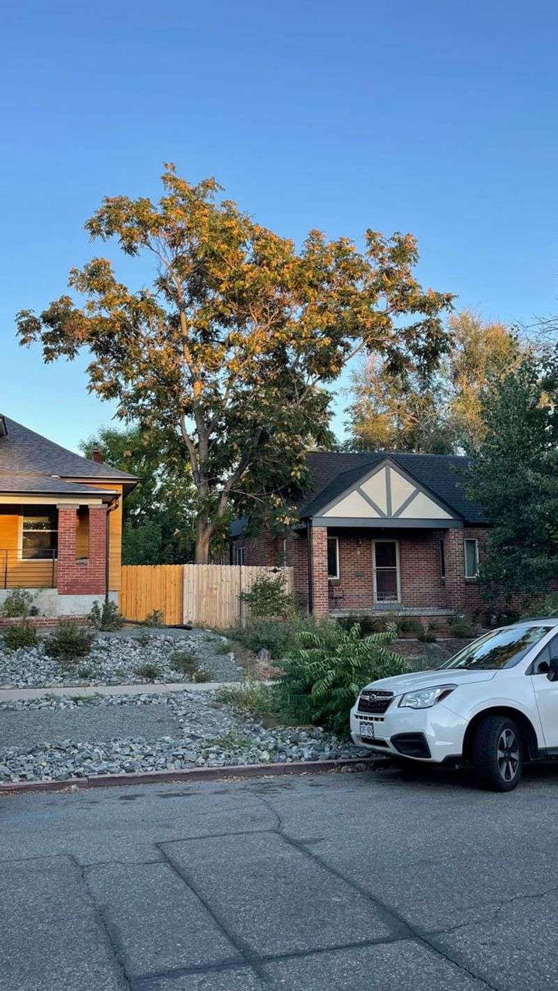 Removing It Later Costs Way More Than Prevention