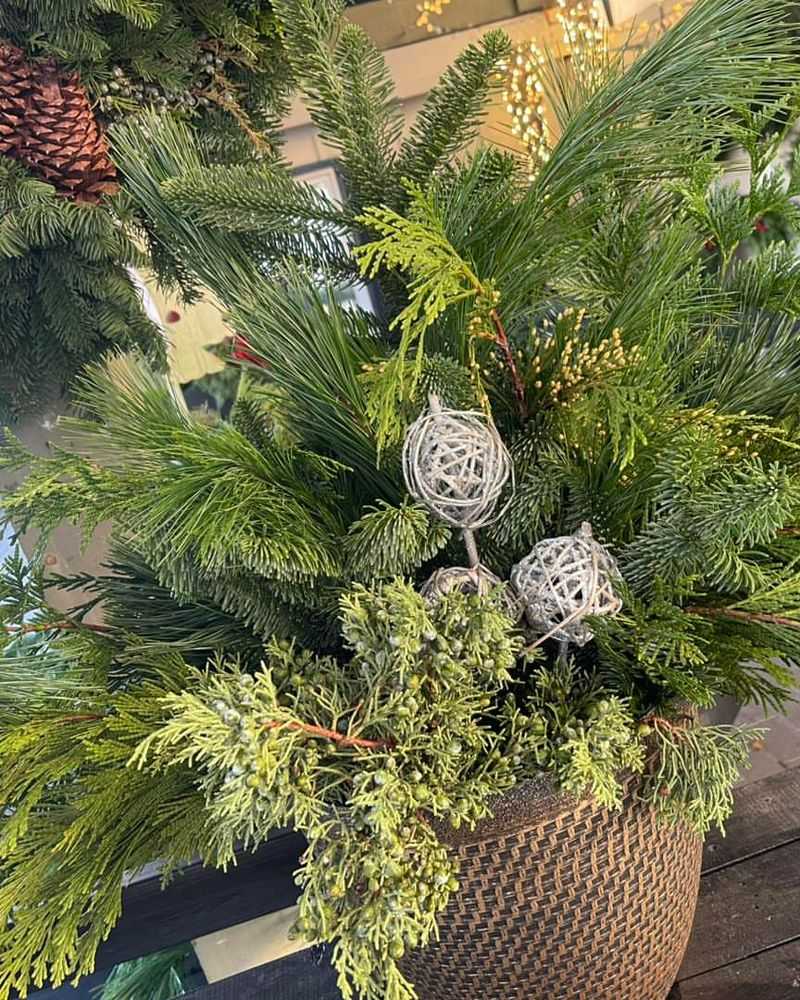 Fresh Pine Scent Welcomes Holiday Guests