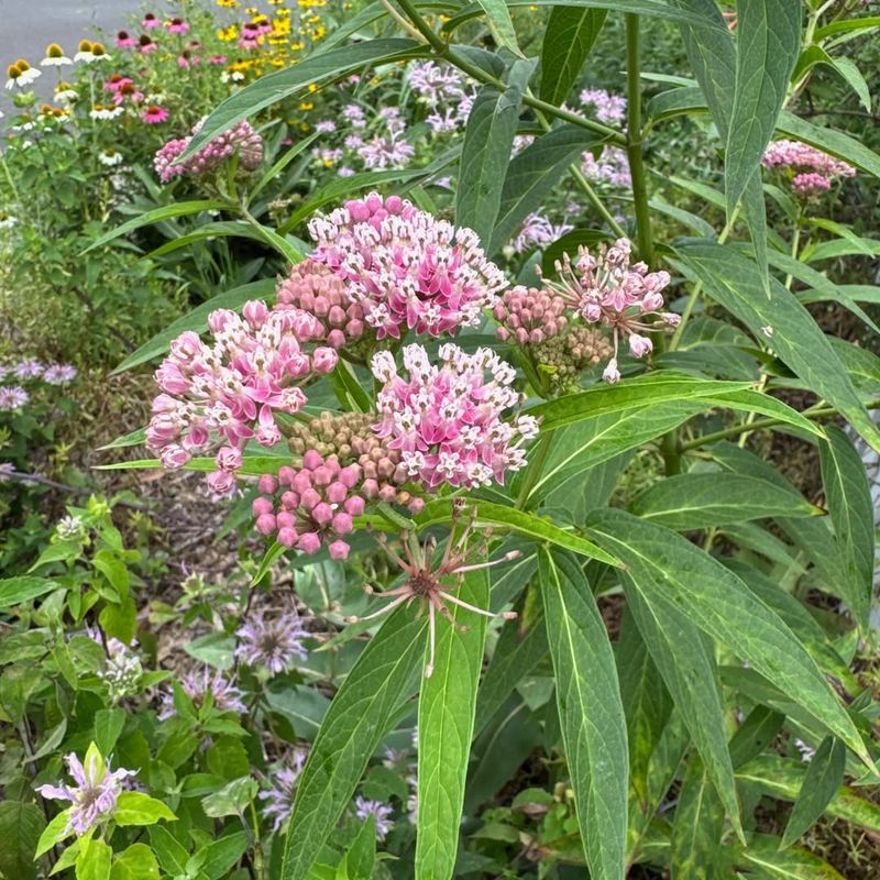 Easy To Spot From Far Away