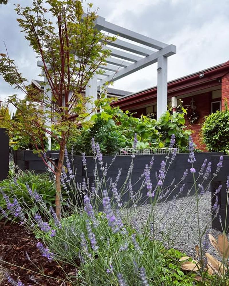 Fills The Air With Relaxing Fragrance