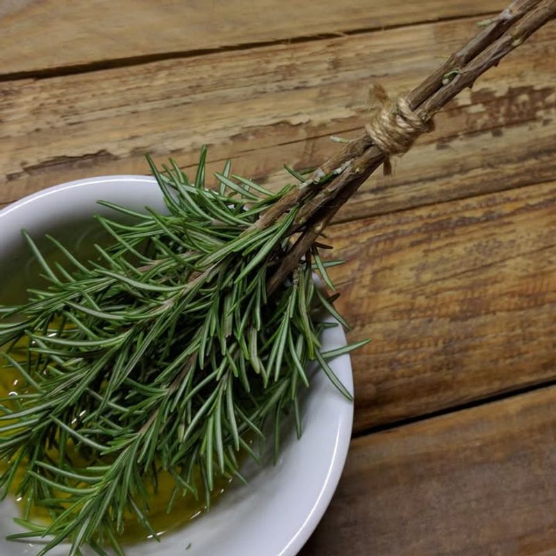 Year-Round Fresh Cooking Herbs