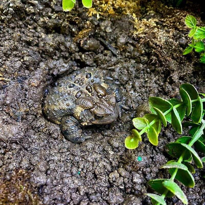 Moisture Level Indicators