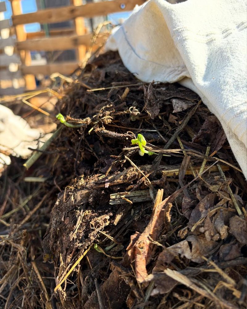 Activates Compost Faster