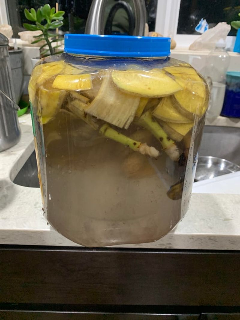 Pest Deterrent Properties That Protect Roots