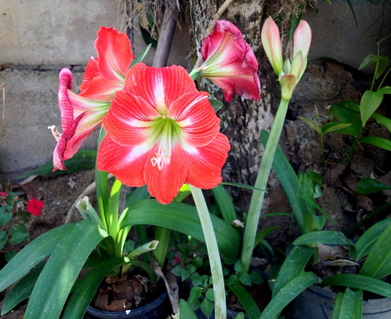 Avoiding Summer's Brutal Heat And Humidity Stress