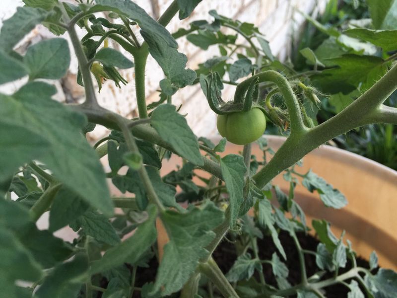 Windy, Exposed Locations