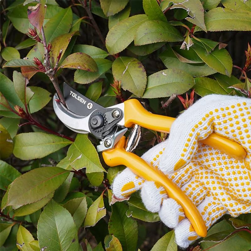 Saves Money on Plant Replacements