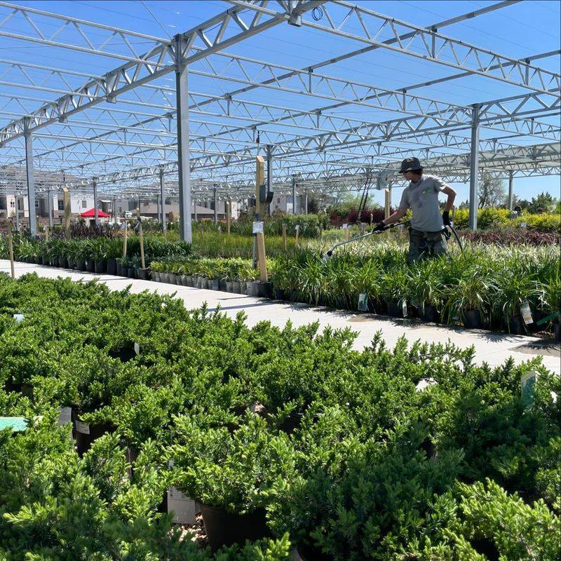 Fertilizing Too Heavily