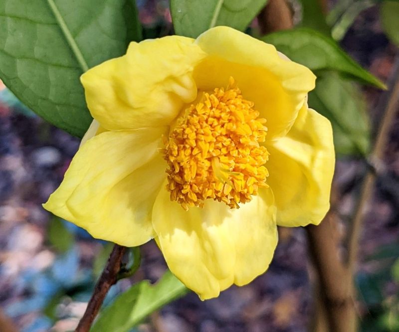 Purchasing From Unknown Sources