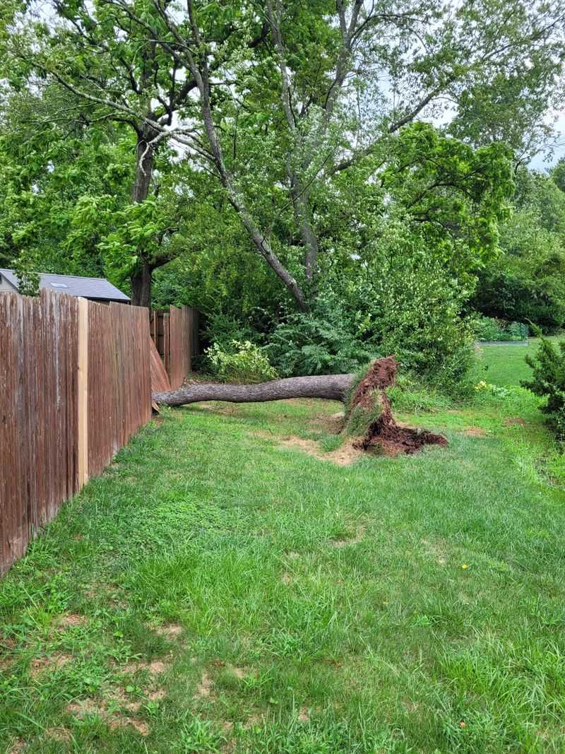 Document Everything Immediately