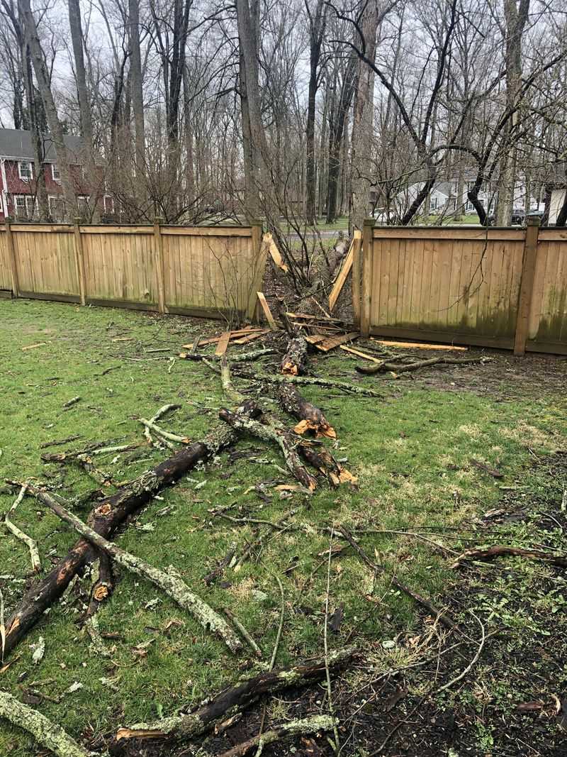 Your Homeowner's Insurance Usually Covers It