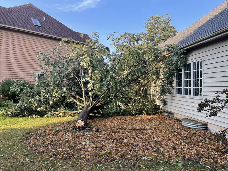 Removal Costs Depend On Damage Location