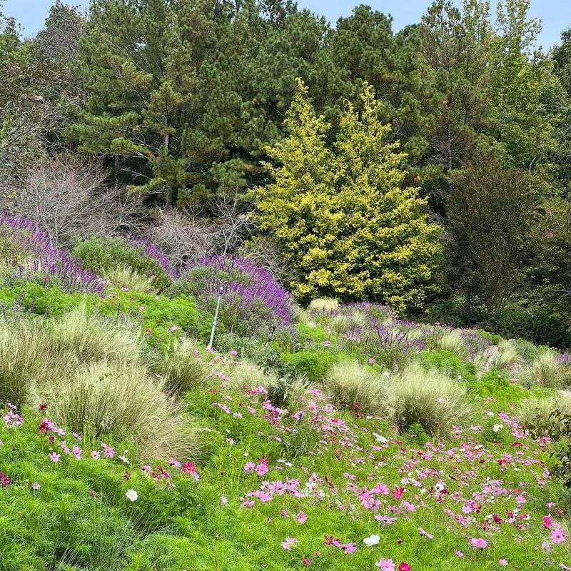 Educational Opportunities Blossom for Children and Adults