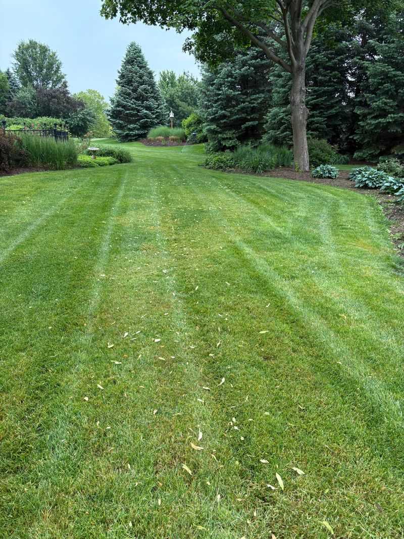 Improving Water Penetration