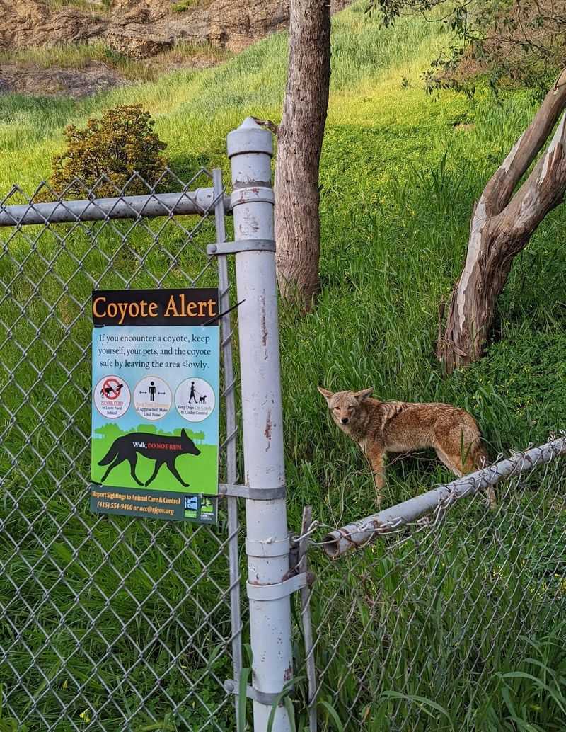 Do Not Turn Your Back And Run Away