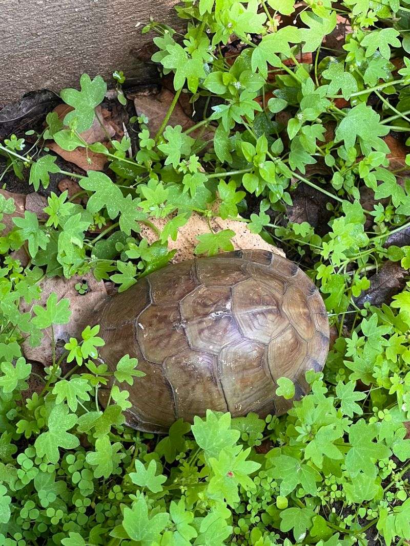 Contact Wildlife Experts If Something Seems Wrong