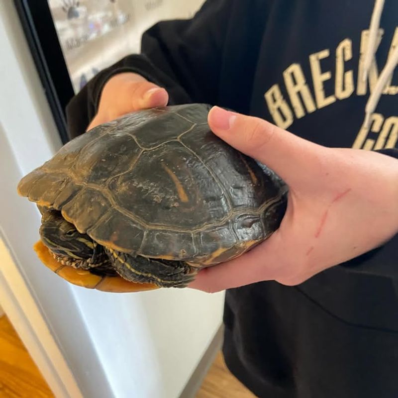 Handle With Care If You Must Pick It Up