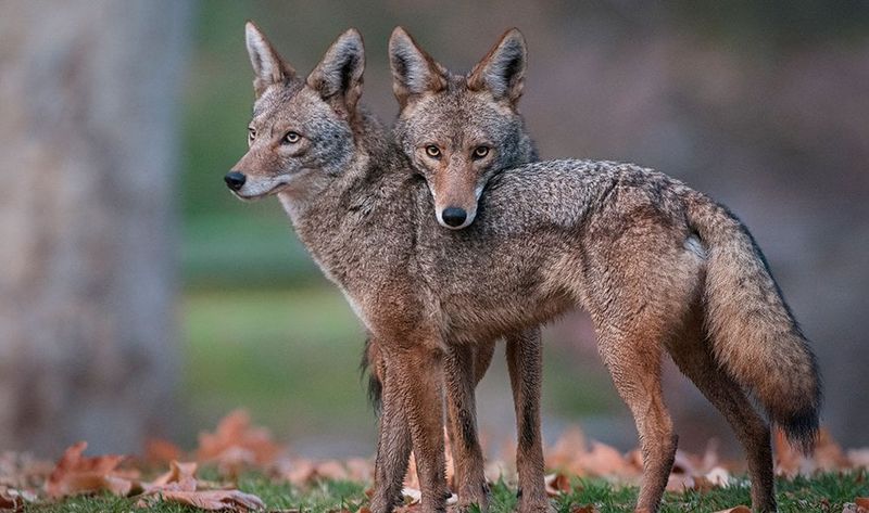 Don't Turn Your Back On It