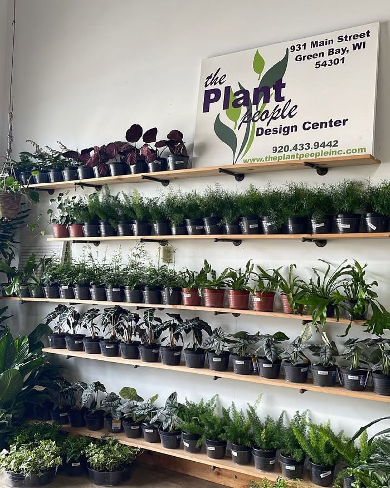 Expanded Plant Selection For Every Skill Level