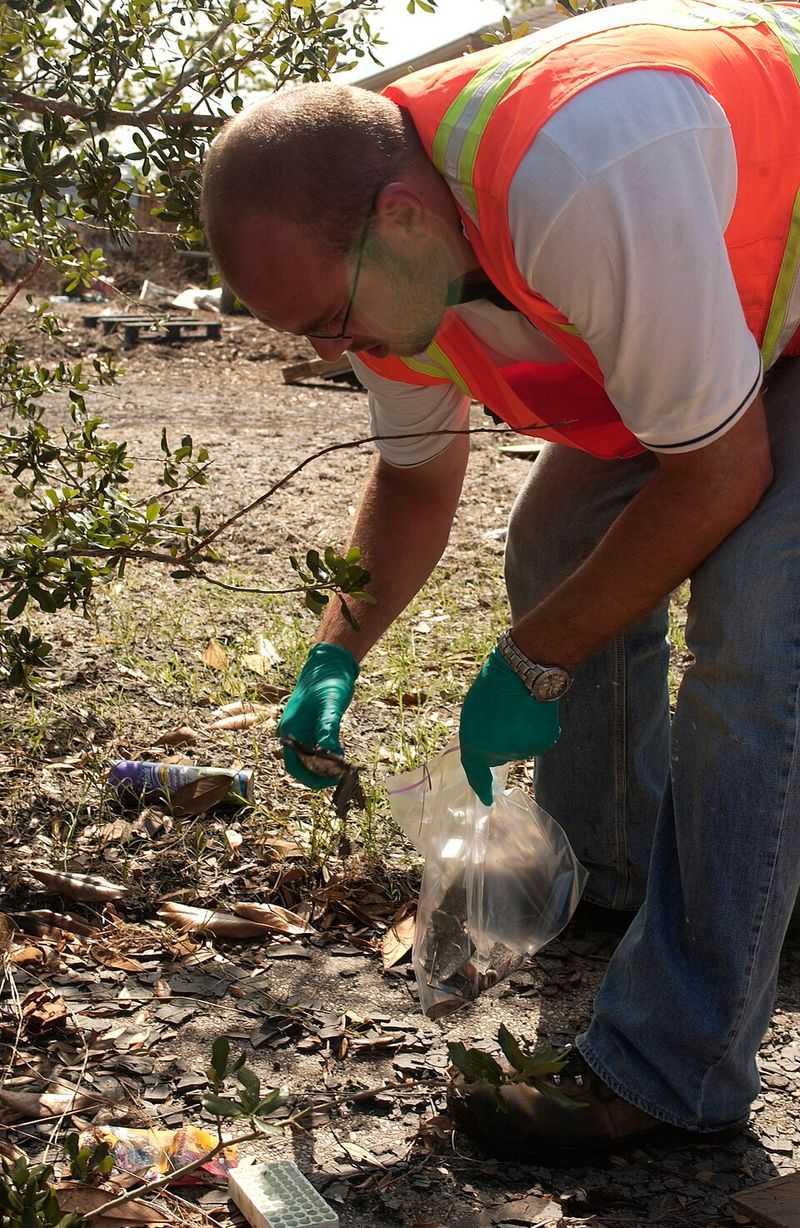 Nitrogen Levels Are Dropping At Alarming Rates