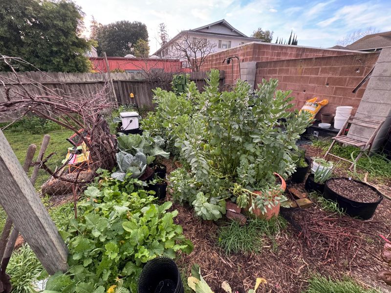 Microclimates Around Your Property Create Unexpected Frost Pockets You Miss