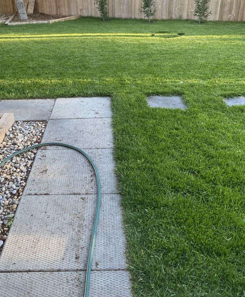 Timing Beats Perfection Every Single Time