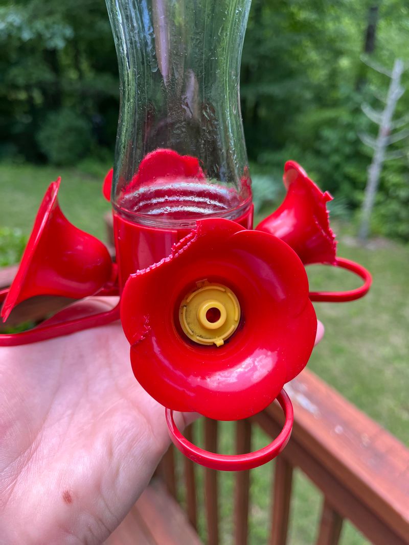 Mid-October Arrives in Your Area