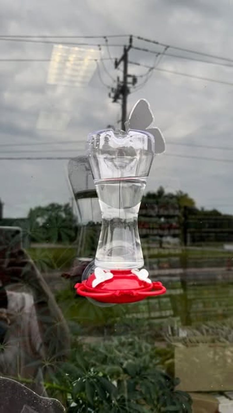 Mold or Black Spots Appear in the Nectar