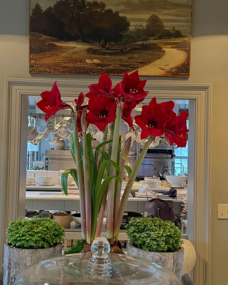 Perfect Humidity Control for Southern Climates