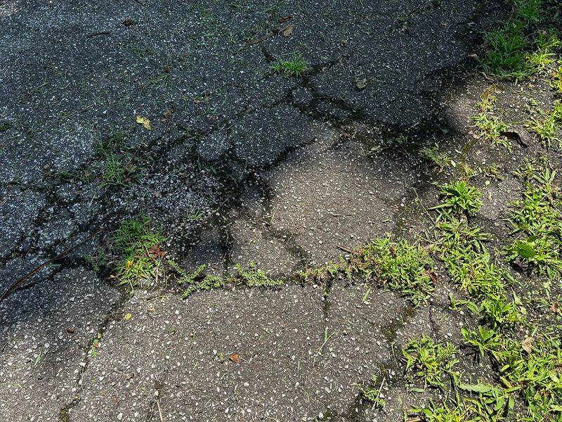 Works Fast on Stubborn Weeds