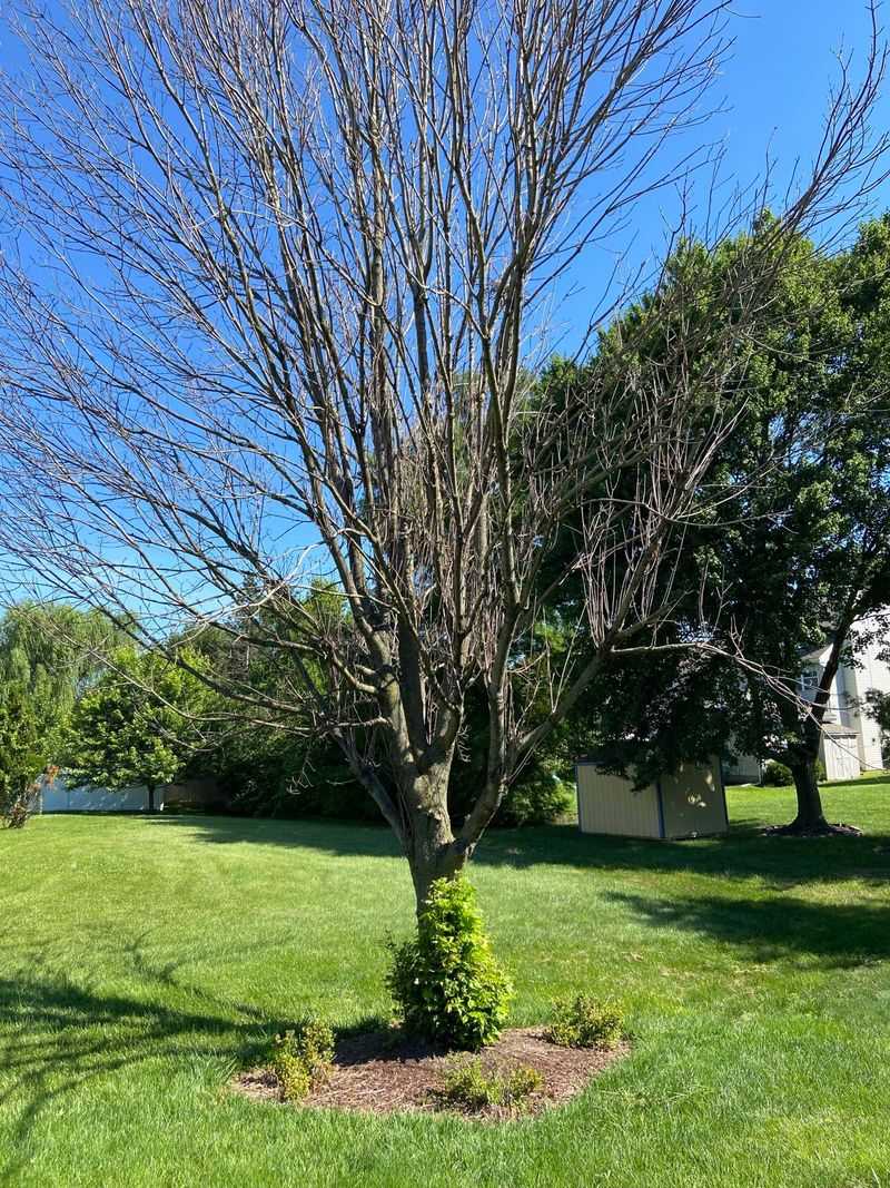 Cost-Effective Alternative to Signs